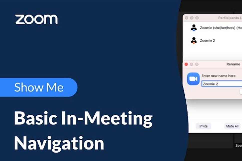 Zoom – Navigating a Zoom meeting